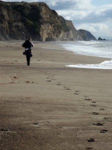 Point Reyes Backpacking